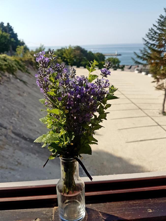 Family Hotel Venera Каварна Екстер'єр фото